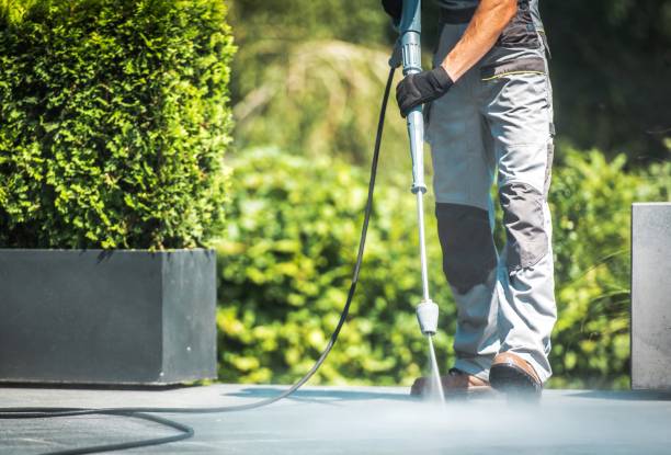 Professional  Pressure Washing Services in Van Vleck, TX